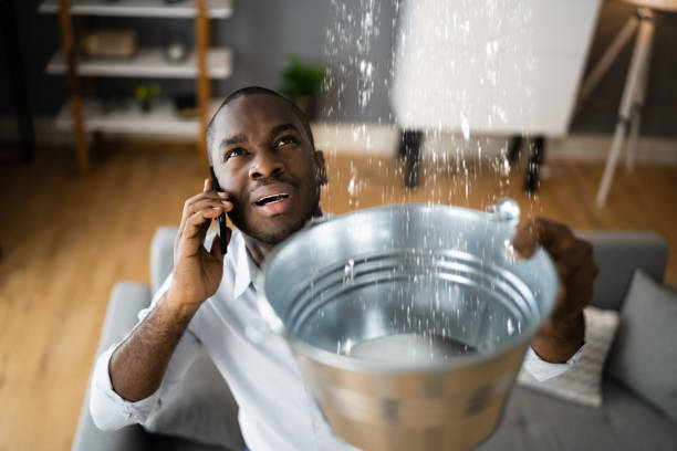 Best Water damage contractors near me  in Moscow, ID