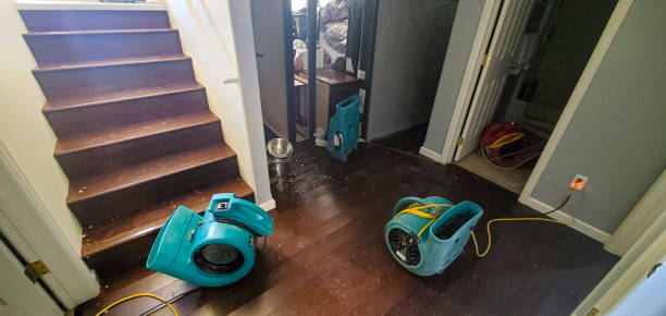 Best Water damage restoration near me  in Moscow, ID