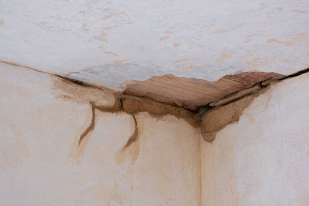 Best Residential water damage restoration  in Moscow, ID