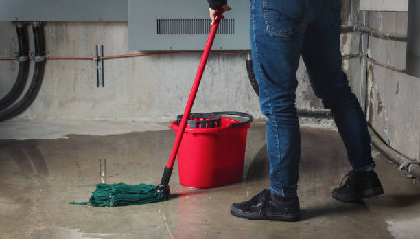 Best Water damage restoration near me  in Moscow, ID