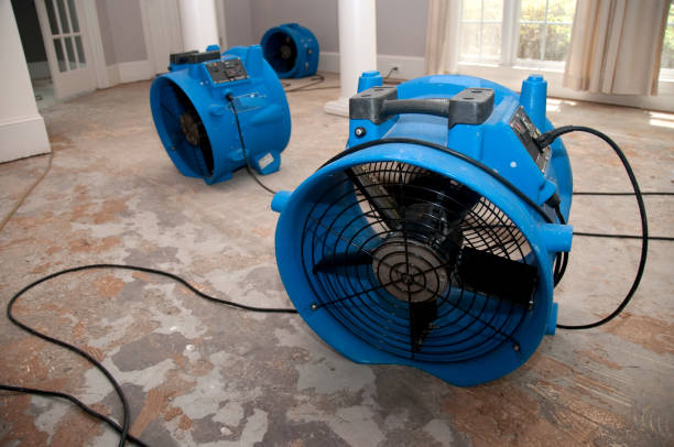 Professional Water damage restoration in ID
