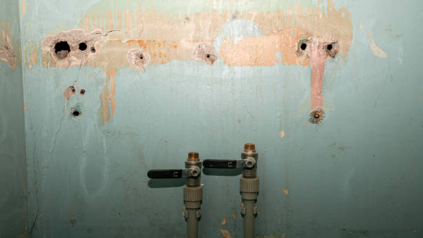 Best Mold removal after water damage  in Moscow, ID