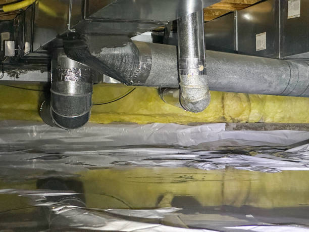 Best Flood damage cleanup  in Moscow, ID